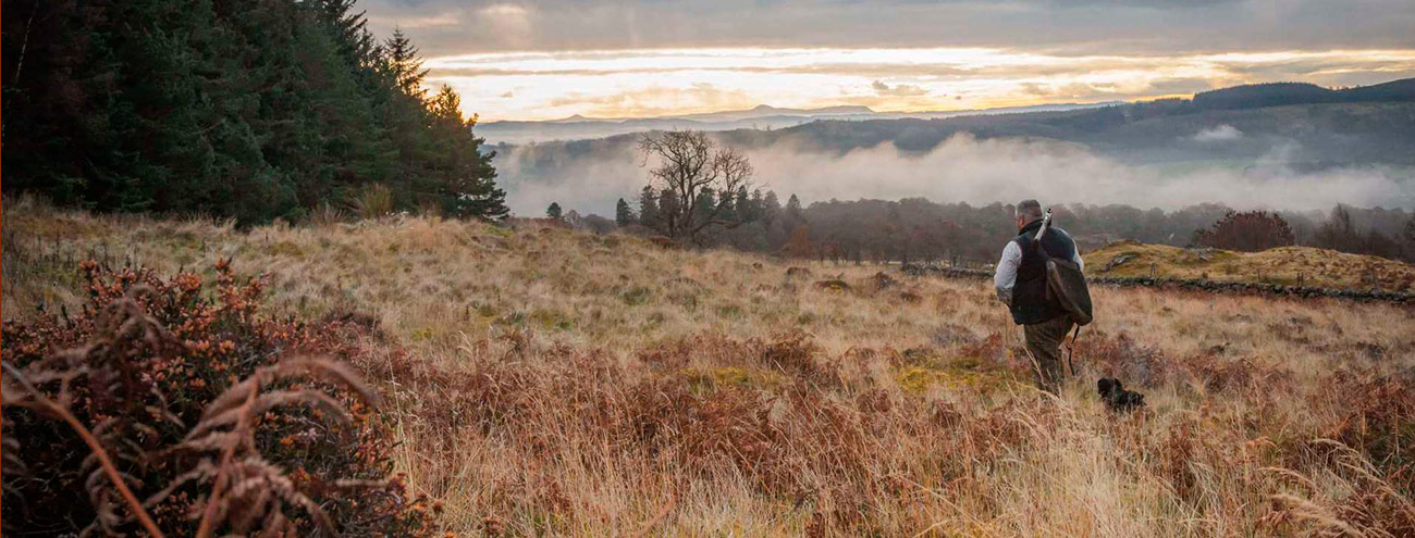 Shooting & Stalking in Perthshire