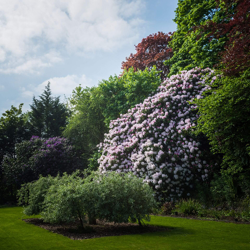 Gardens for wedding near Blairgowrie